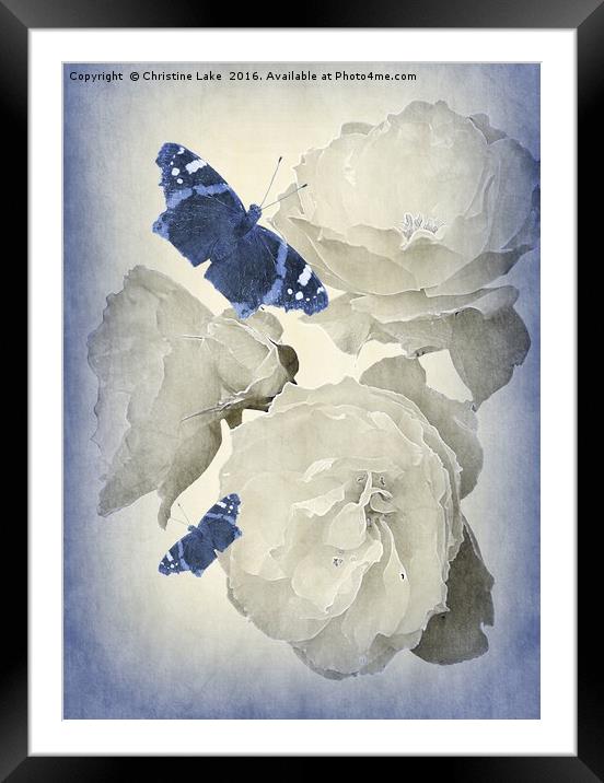 Summertime Blues Framed Mounted Print by Christine Lake