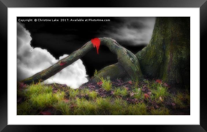 The Magic Of Nature Framed Mounted Print by Christine Lake