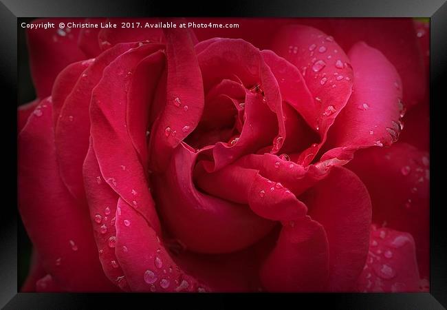 Red Diamonds Framed Print by Christine Lake