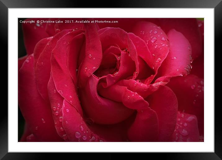 Red Diamonds Framed Mounted Print by Christine Lake