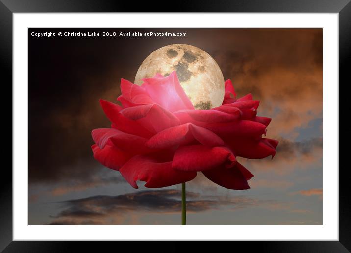 Moon Glow Framed Mounted Print by Christine Lake