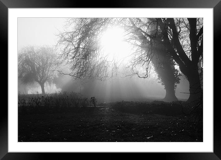 Misty Morning 4 Framed Mounted Print by Christine Lake