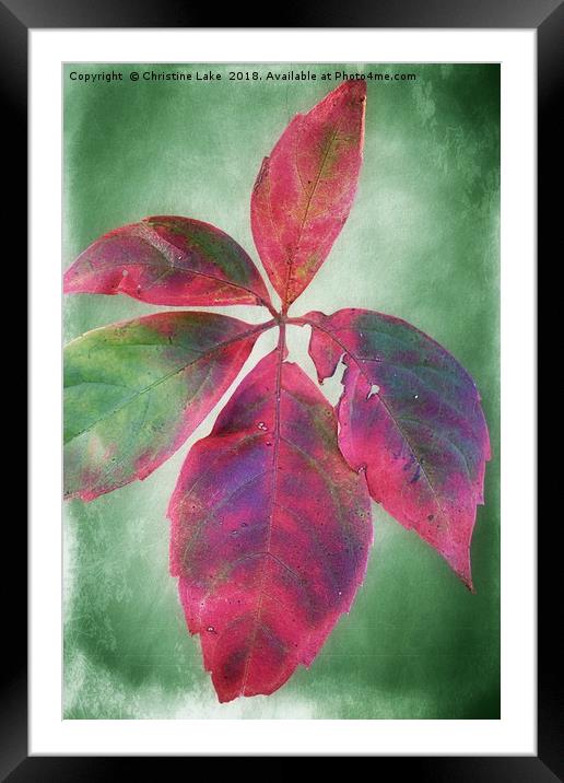 Colours Of Autumn Framed Mounted Print by Christine Lake