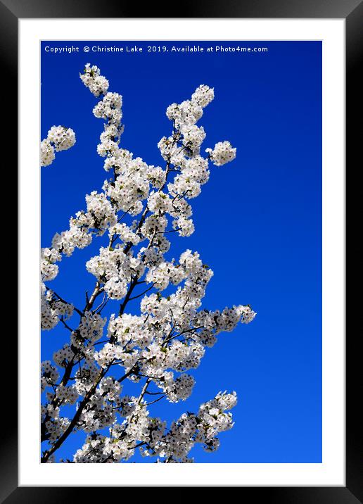 Heaven Sent Framed Mounted Print by Christine Lake