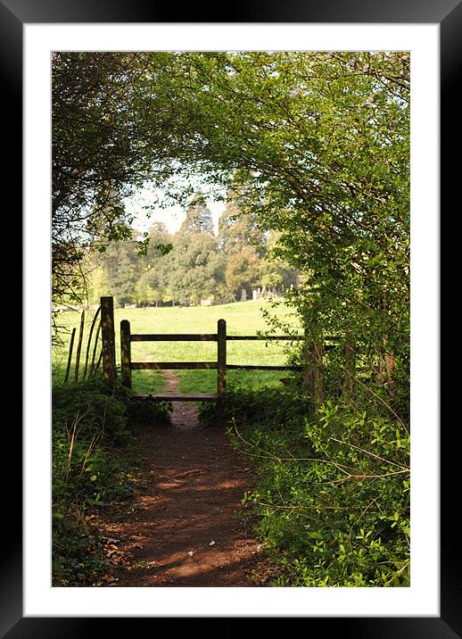 There and Back Again Framed Mounted Print by Christine Lake