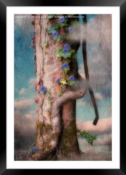 Daydreams Framed Mounted Print by Christine Lake