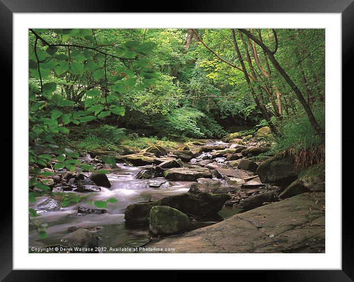 Birks of Aberfeldy Framed Mounted Print by Derek Wallace