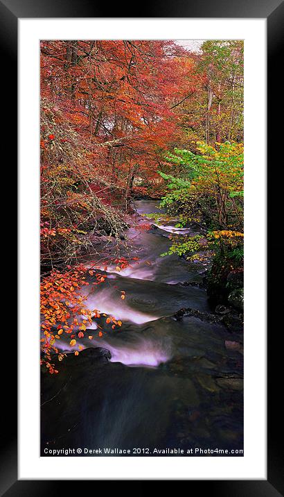 The Birks in autumn Framed Mounted Print by Derek Wallace
