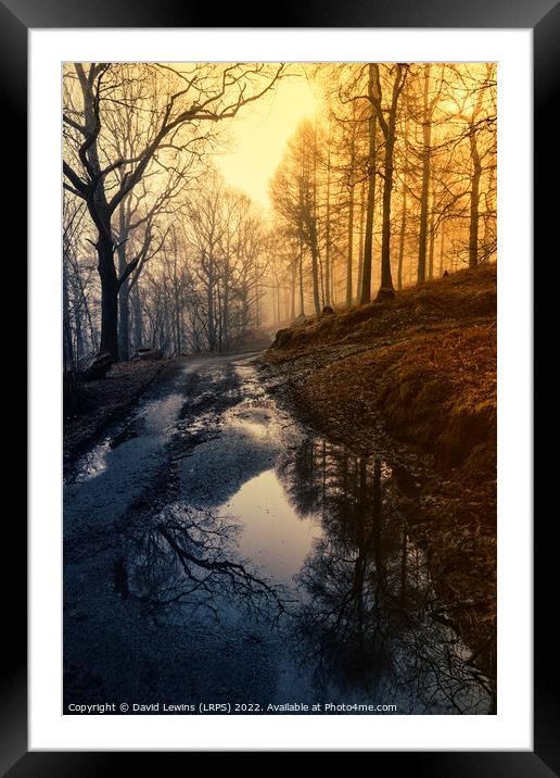 Woodland Path at Sunrise Framed Mounted Print by David Lewins (LRPS)