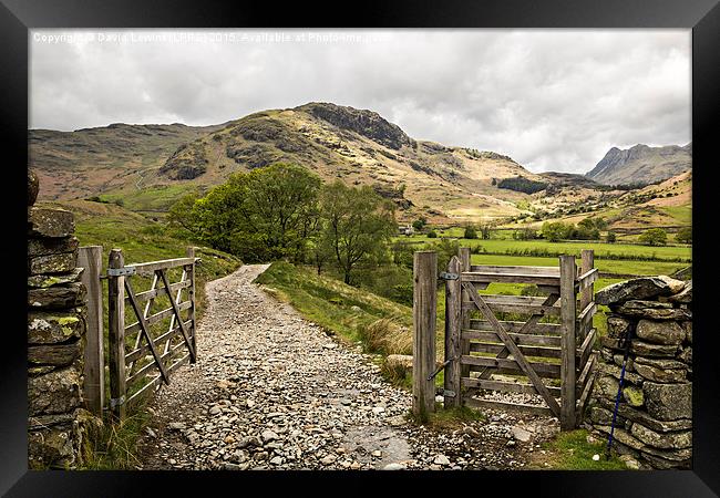 Little Langdale Framed Print by David Lewins (LRPS)