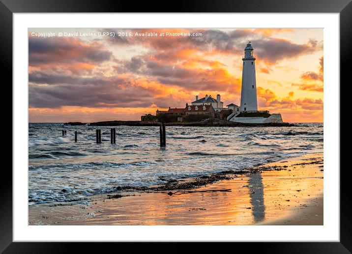 St Mary's Lighthouse Framed Mounted Print by David Lewins (LRPS)