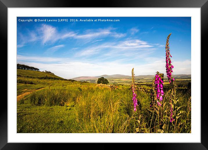 Northumberland Hills Framed Mounted Print by David Lewins (LRPS)