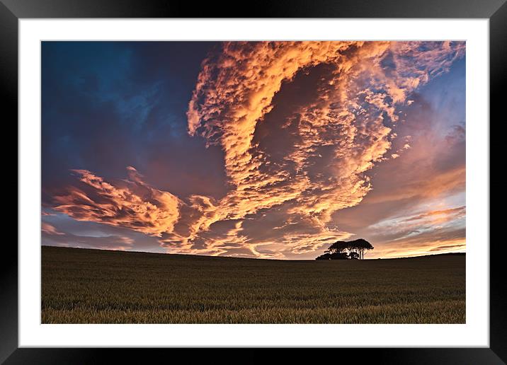 Cornfield Sunset Framed Mounted Print by David Lewins (LRPS)