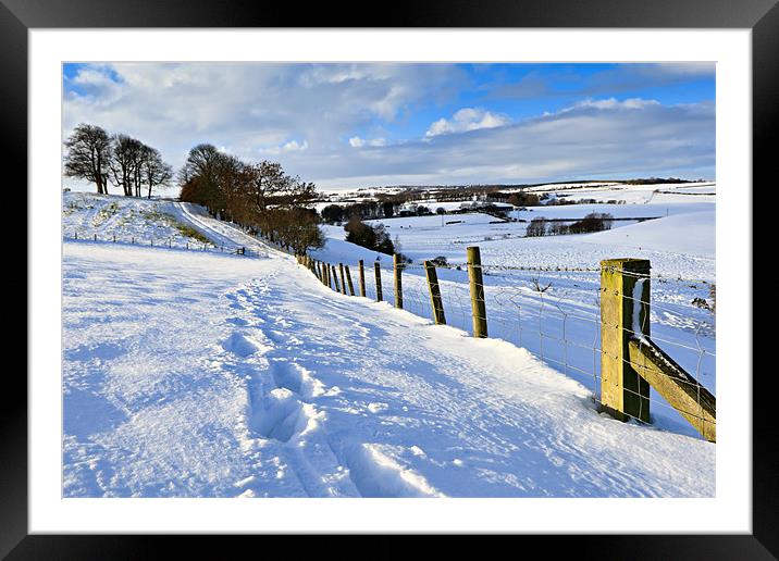 Winter Fields - County Durham Framed Mounted Print by David Lewins (LRPS)