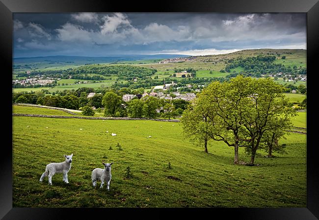 Langcliffe - Yorkshire Dales National Park Framed Print by David Lewins (LRPS)