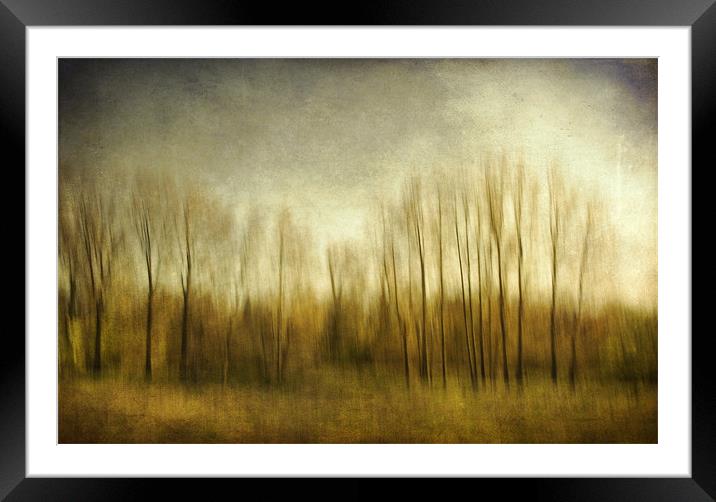 The Trees ..... Norfolk Framed Mounted Print by Dave Turner
