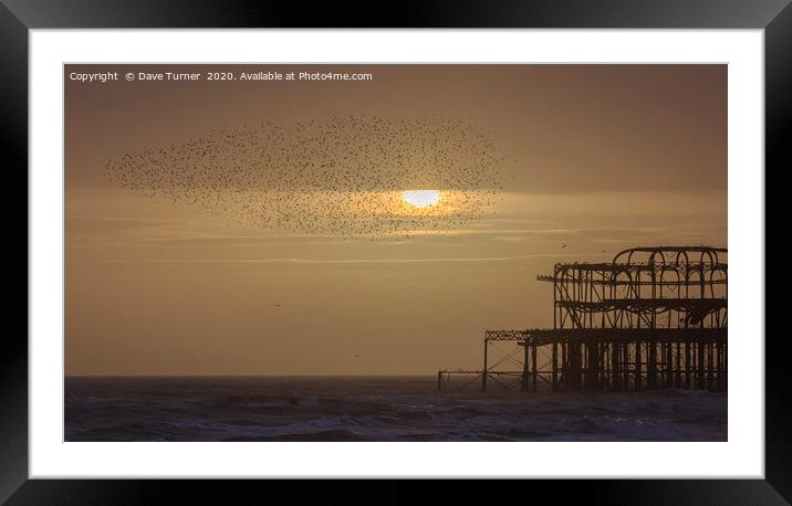 Brighton Murmuration Framed Mounted Print by Dave Turner