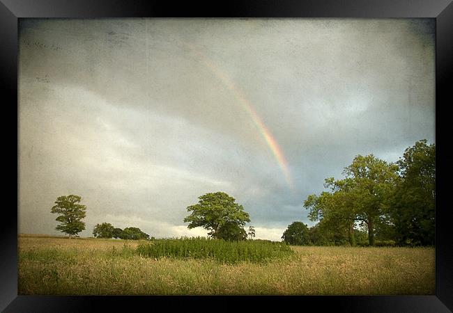 Rainbow over Wramplingham, Norfolk Framed Print by Dave Turner