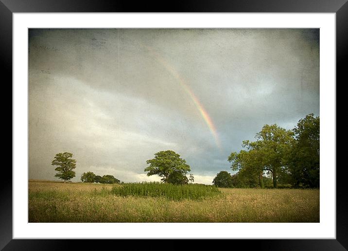 Rainbow over Wramplingham, Norfolk Framed Mounted Print by Dave Turner