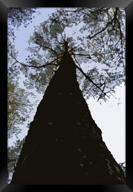 Pallette knife effect tree Framed Print by Dan Thorogood