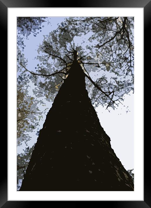 Pallette knife effect tree Framed Mounted Print by Dan Thorogood