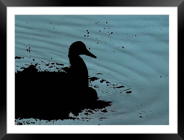 Abstract duck Framed Mounted Print by Dan Thorogood