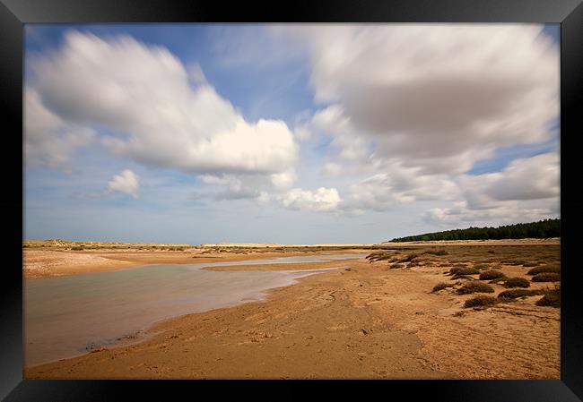 Holkham Tranquility Framed Print by Robert Geldard