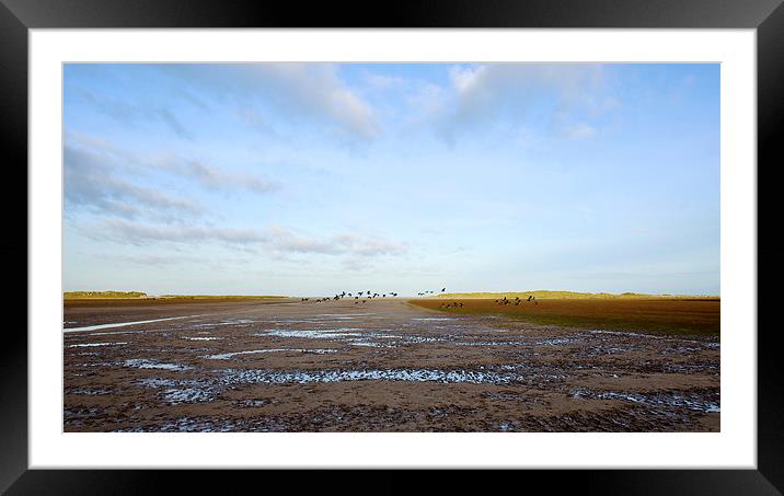  As Geese Fly Framed Mounted Print by Robert Geldard