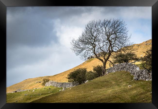 Shades of Malhamdale Framed Print by Robert Geldard