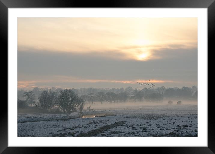 Icy Meadow Framed Mounted Print by Robert Geldard