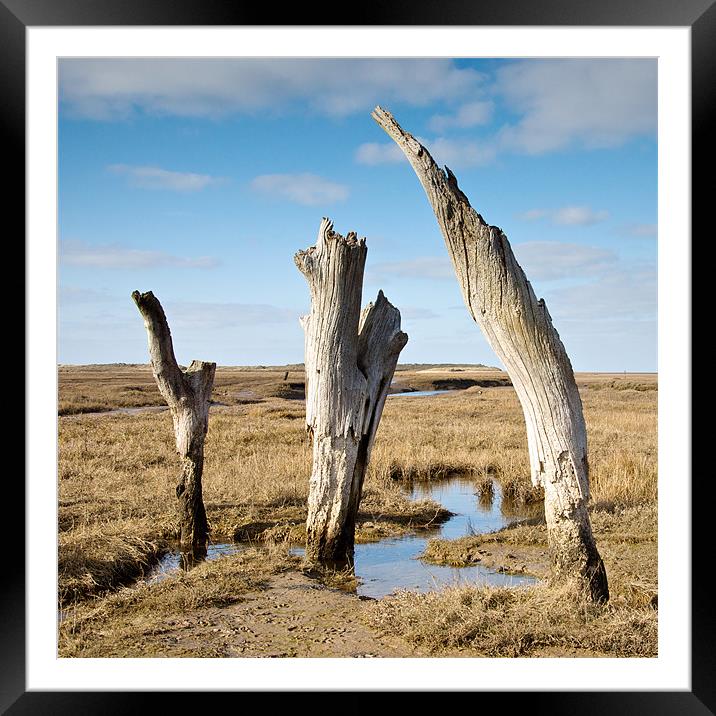 Thornham Stumps - colour Framed Mounted Print by Robert Geldard