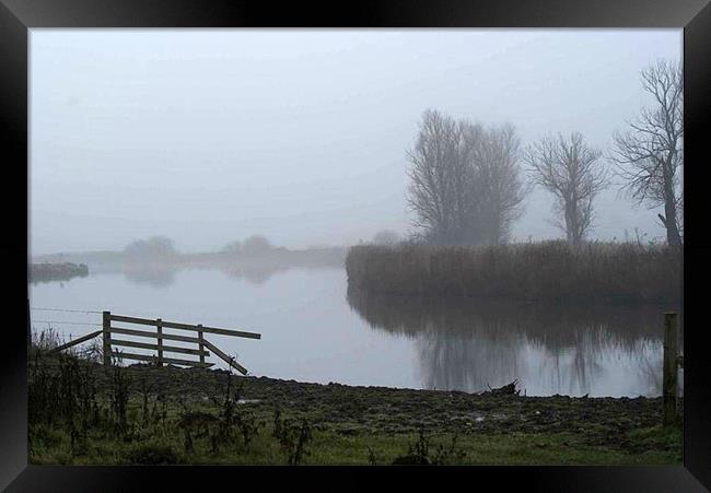 Norfolk mist Framed Print by Sheryl Brown