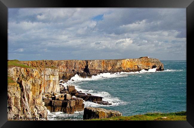 Stackpole Head.Pembrokeshire. Framed Print by paulette hurley