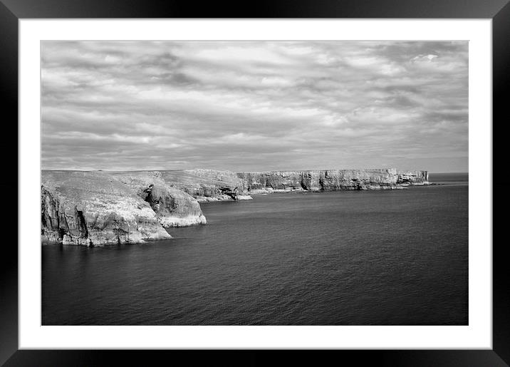 Stackpole Headland.Pembrokeshire.B+W. Framed Mounted Print by paulette hurley