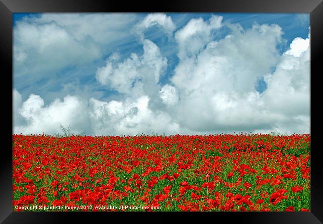Poppy Field.Pembrokeshire. Framed Print by paulette hurley