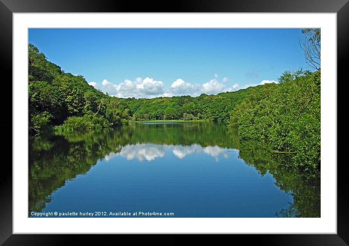 Bosherston Lily Ponds.Reflection. Framed Mounted Print by paulette hurley