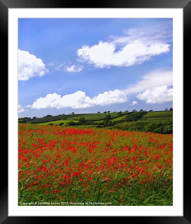Poppy Pembrokeshire. Framed Mounted Print by paulette hurley