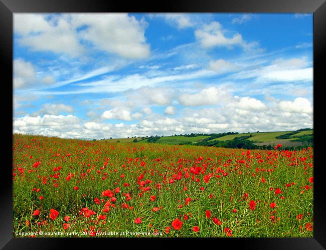 Poppy Field.Charm. Framed Print by paulette hurley