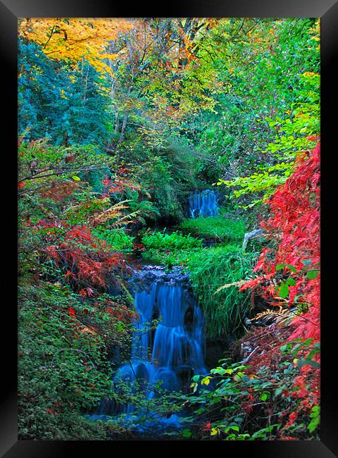 Autumn Waterfalls. Framed Print by paulette hurley