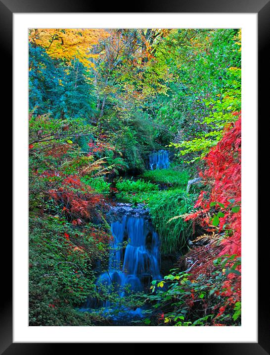 Autumn Waterfalls. Framed Mounted Print by paulette hurley