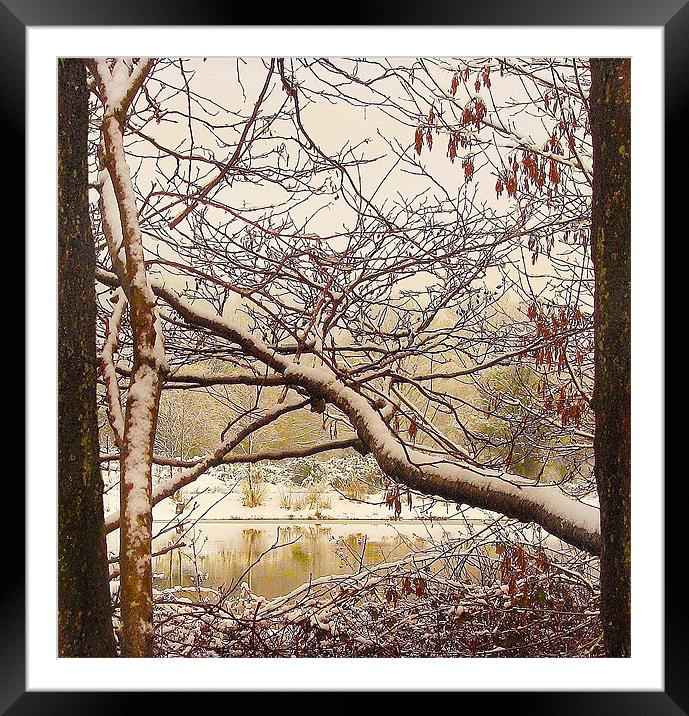 Golden Pond.Wales. Framed Mounted Print by paulette hurley
