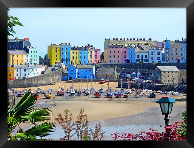 Tenby Harbour.Wales. Framed Print by paulette hurley