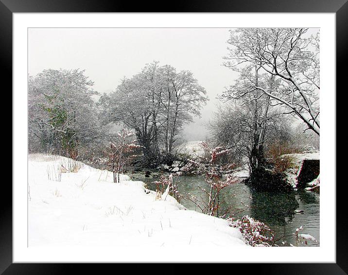 Winter and Summer Fused,Wales. Framed Mounted Print by paulette hurley