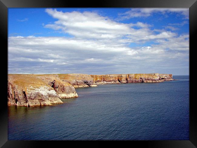 Stackpole Headland.Pembrokeshire.Wales. Framed Print by paulette hurley