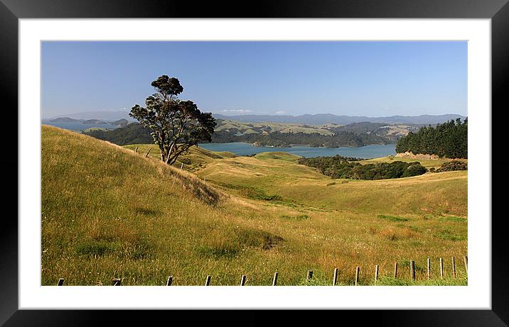 Coromandel View Framed Mounted Print by Gill Allcock