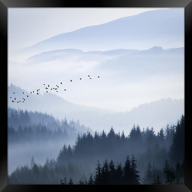 Rising above... Framed Print by David Mould