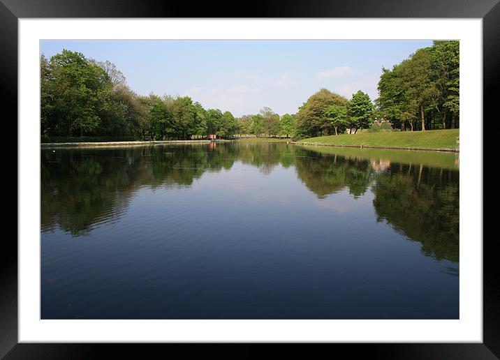 Reflections on The Lake Framed Mounted Print by Peter Elliott 