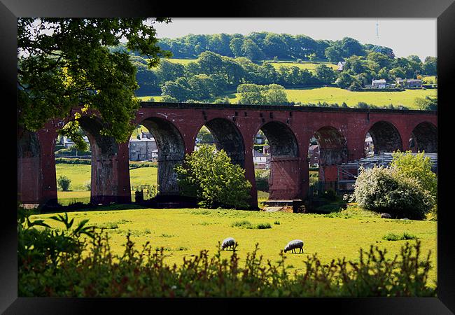 Whalley Viaduct Framed Print by Peter Elliott 