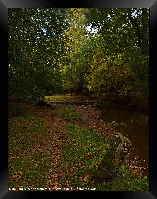 Autumnal New Forest Stream Framed Print by Donna Collett