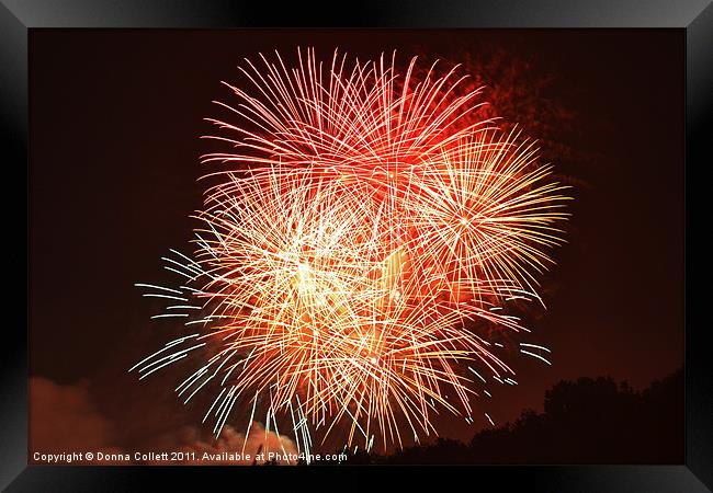 Fireworks fill the sky Framed Print by Donna Collett